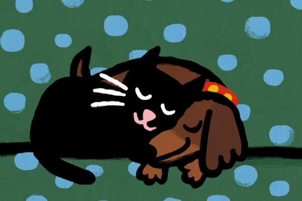 DoggyDay08